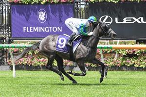 CLEAR BLUE SKIES CONTINUE